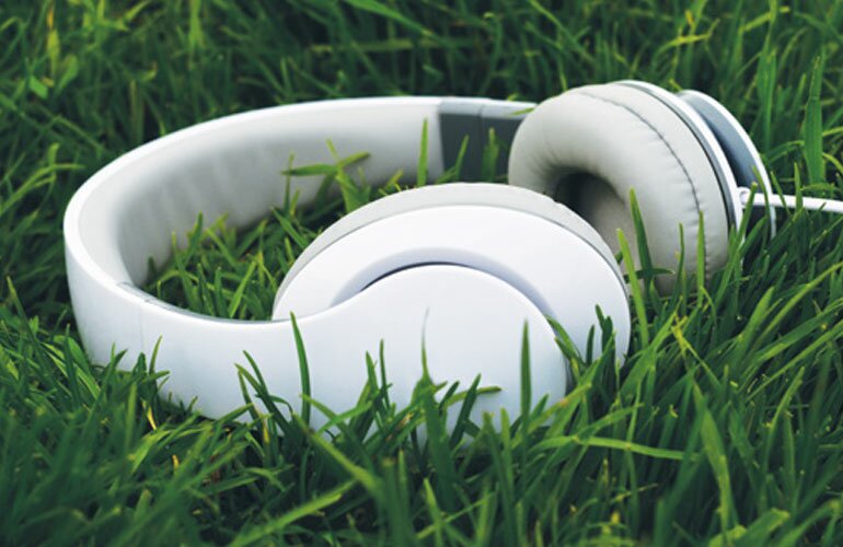 The Art of Listening to the Turf