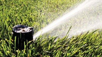 water pest golf course