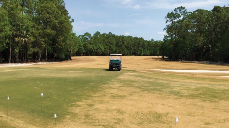 nematodes bayer indemnify